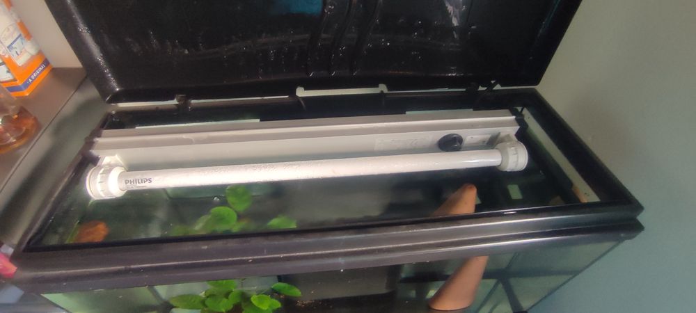 Aquário 80 L aquatlantis e móvel