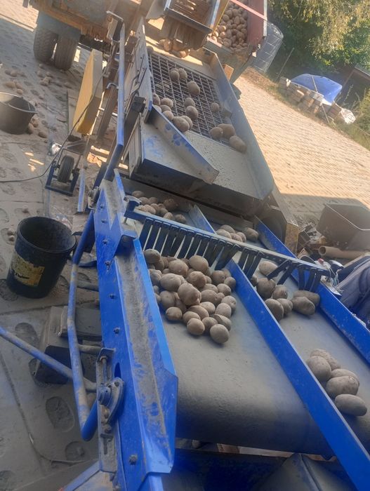 Ziemniaki  Ekologiczne BIO z Certyfikatem