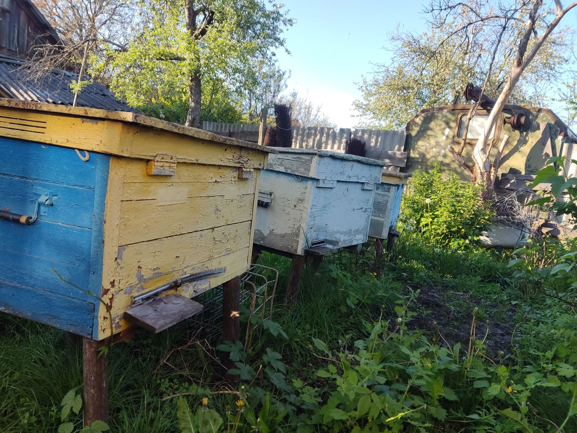 Бджоли з вуликами повний комплект