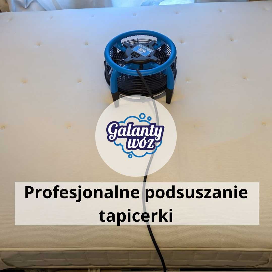 Pranie tapicerki/kanapy + Suszenie = krótki czas schnięcia! Promocja!