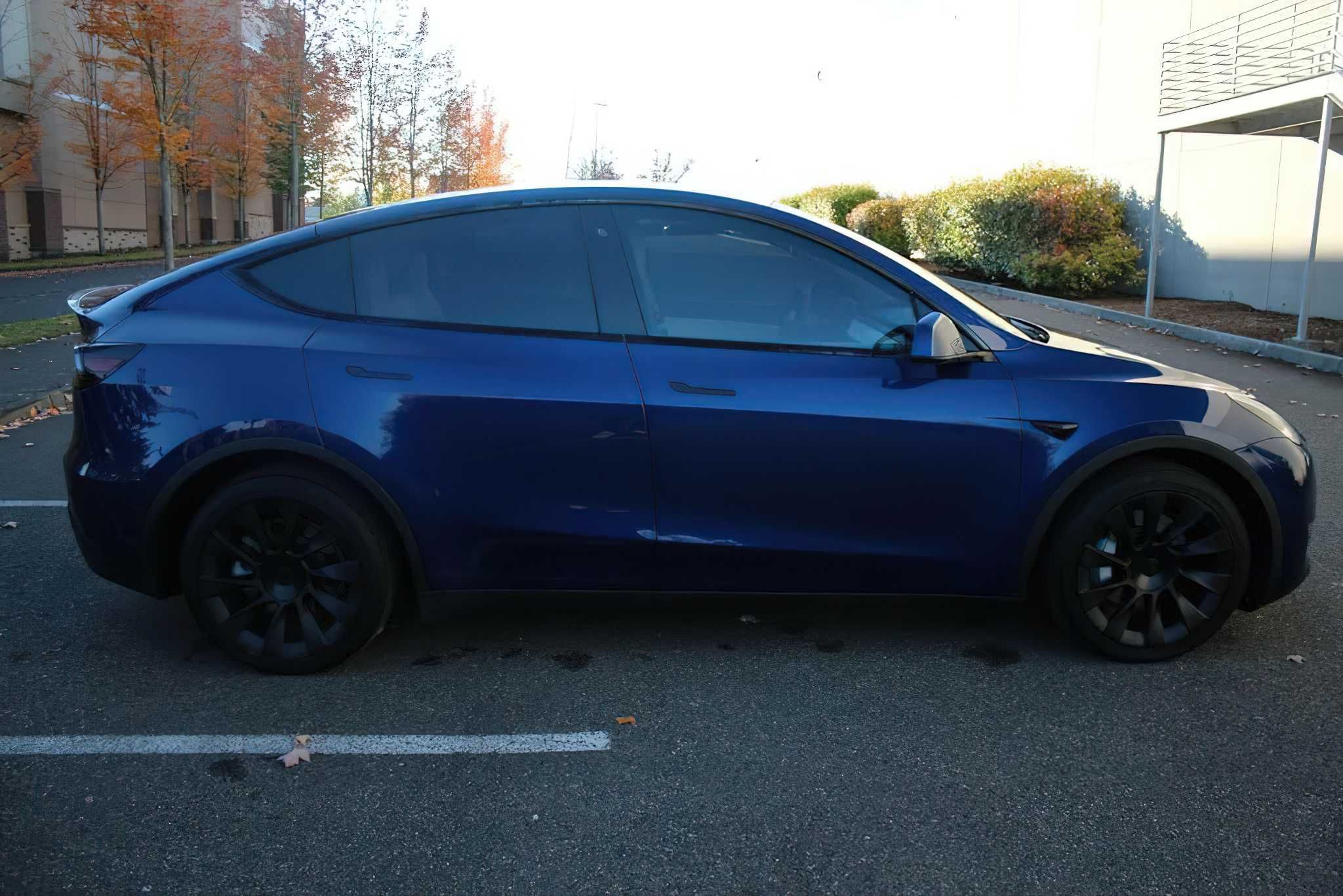 Tesla Model Y  2020