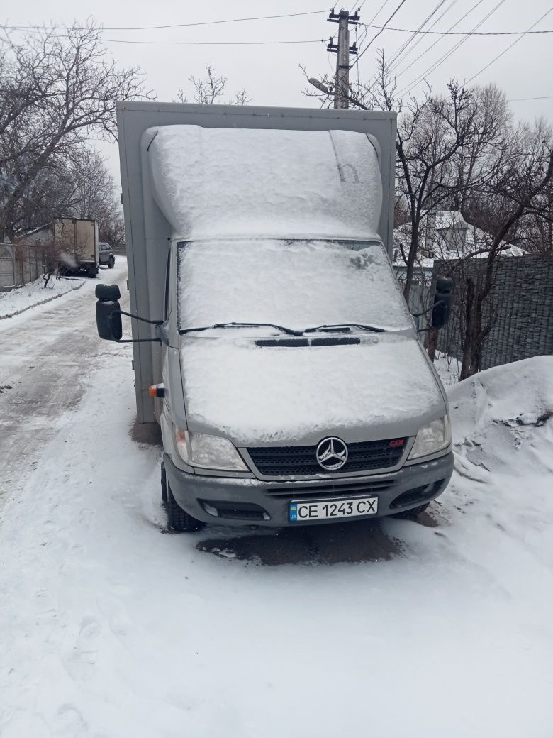 Перевозка лошадей и коров