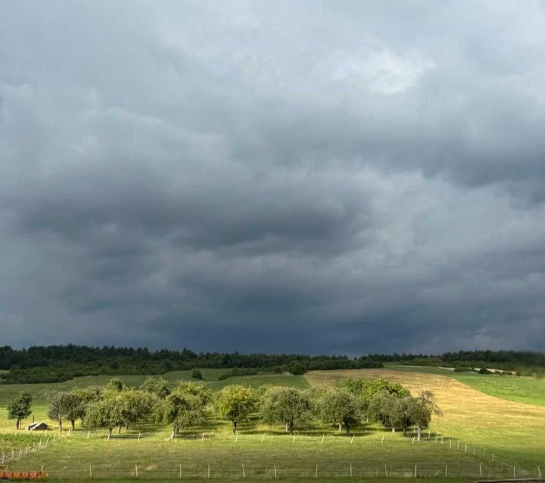 Sok tłoczony jabłkowy 100% naturalny ze starych odmian jabłek