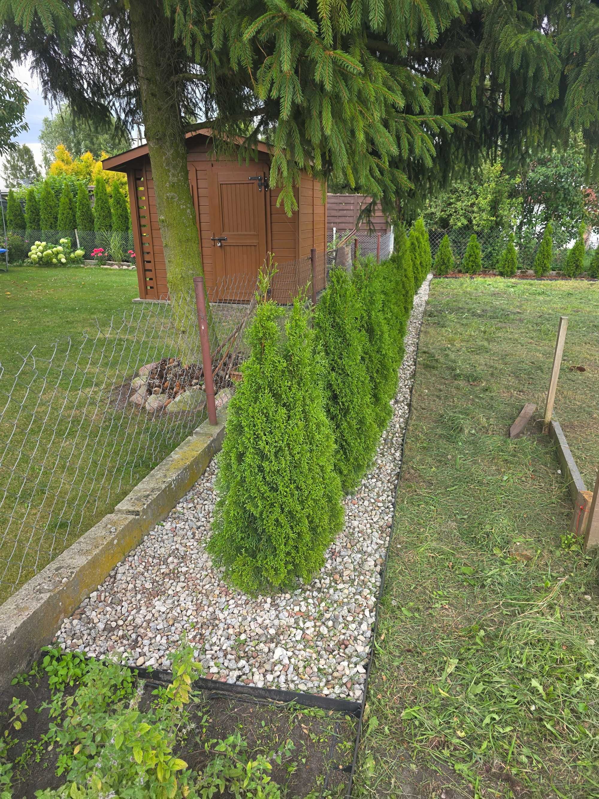 Działka ROD - Annowo  478m2 !!