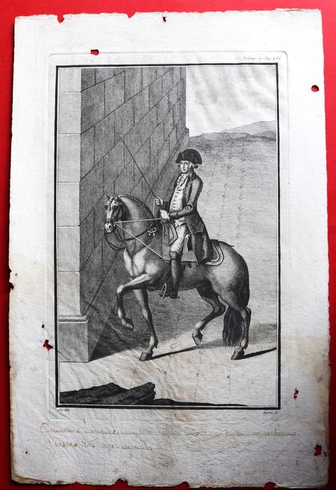 ARTE EQUESTRE gravura 27 Luz da Liberal e Nobre Arte da Cavalaria 1790