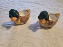 Patos de loica para ovos