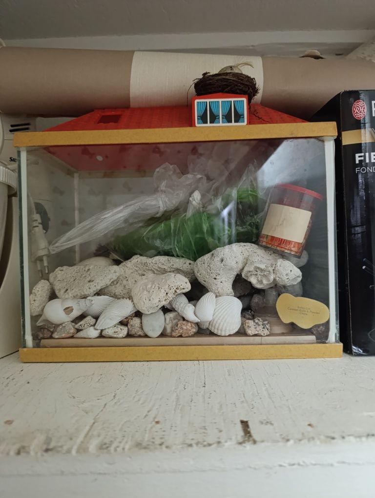 Aquário com decoração