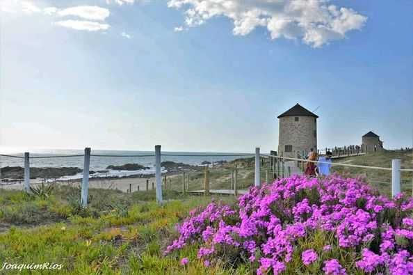 Apartamento t2 primeira linha praia Apulia, Esposende, WIFI, churrasqu