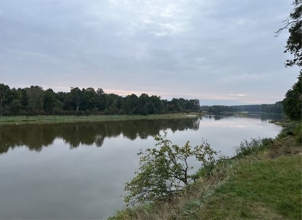 Piekny domek letniskowy w lesie nad rzeką Bug