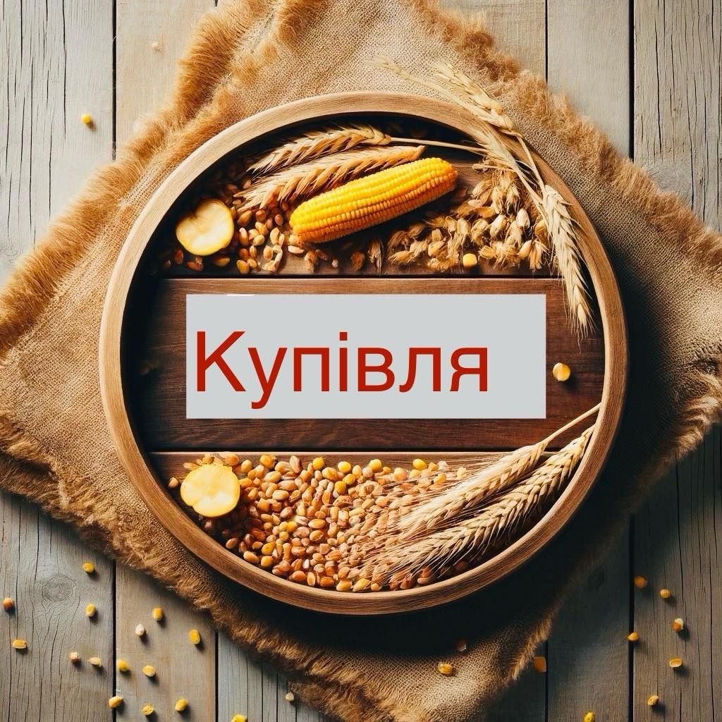 Зерно пшениця, якмінь, кукурудза.