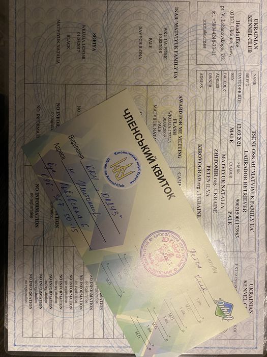 Молодой кобель приглашает даму)