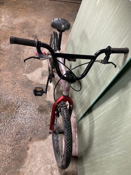 Bicicleta como nova roda de crinça