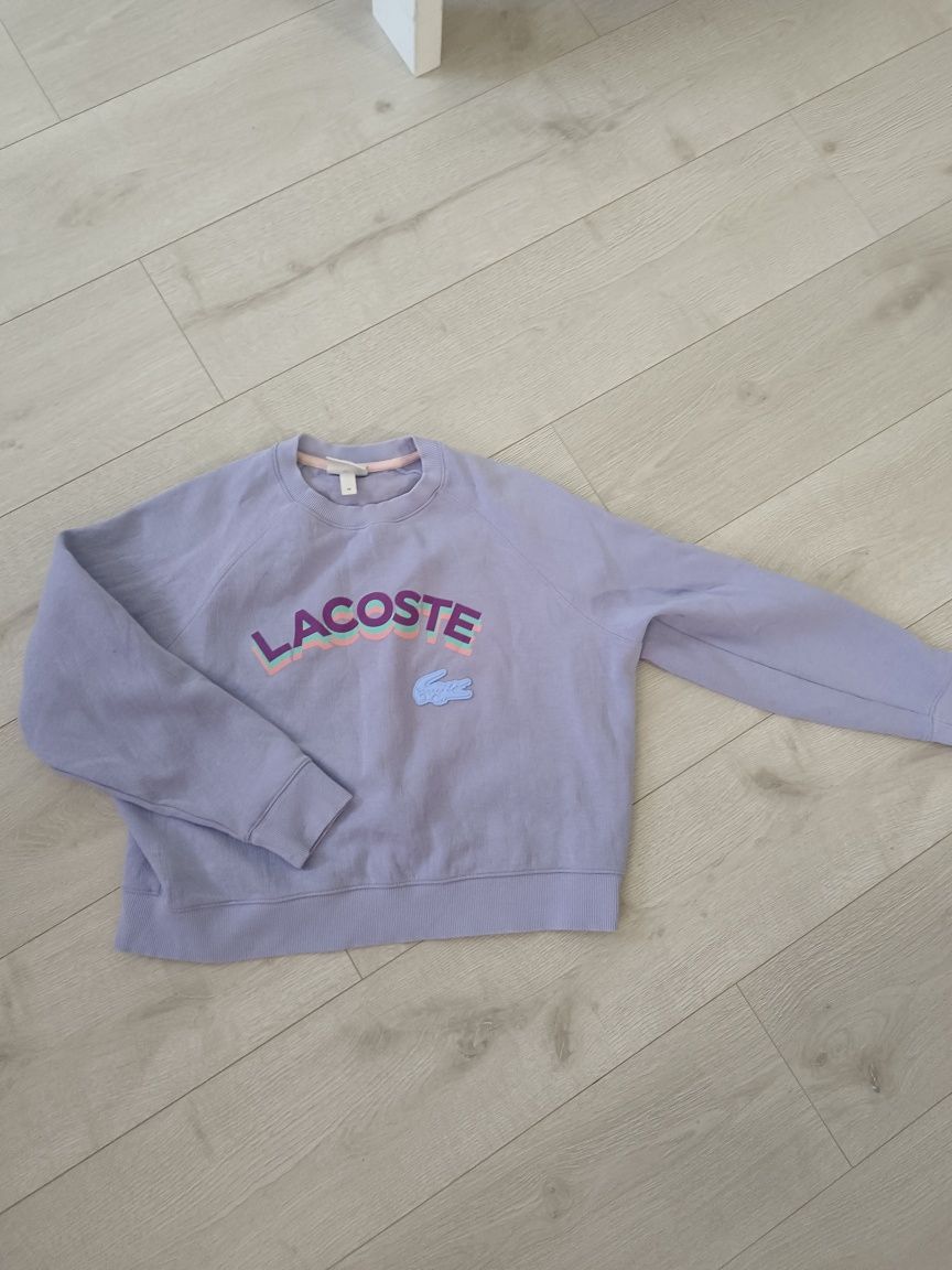 Реглан, худі, кофти Lacoste Miss Sixty New Balance