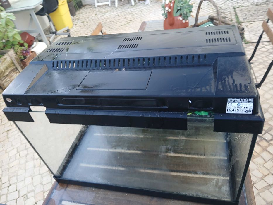 Vários aquários, pequenos e grandes usado