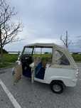 Tuk tuk Piaggio Ape Calessino 250