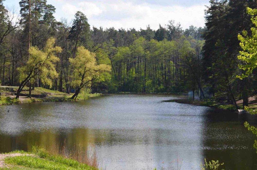 Продам ділянку 8 соток під будівництво Пуща-Водиця