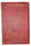 Livro Ref Par 2- Pinheiro Chagas - O Naufrágio de Vicente Sodré