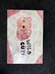 POP MART CRYBABY Wild but Cutie Series