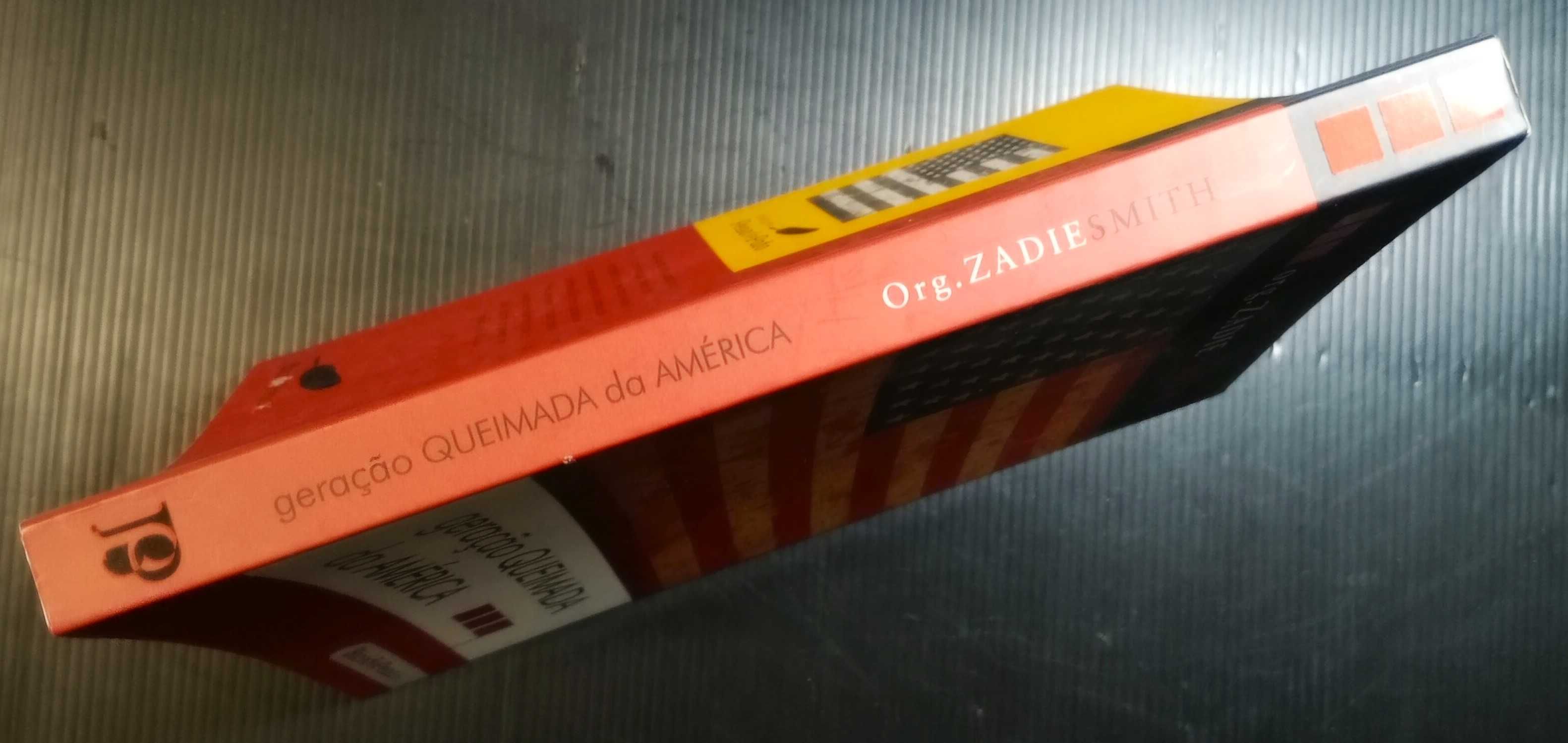 Livro Geração queimada da América * Org. Zadie Smith
