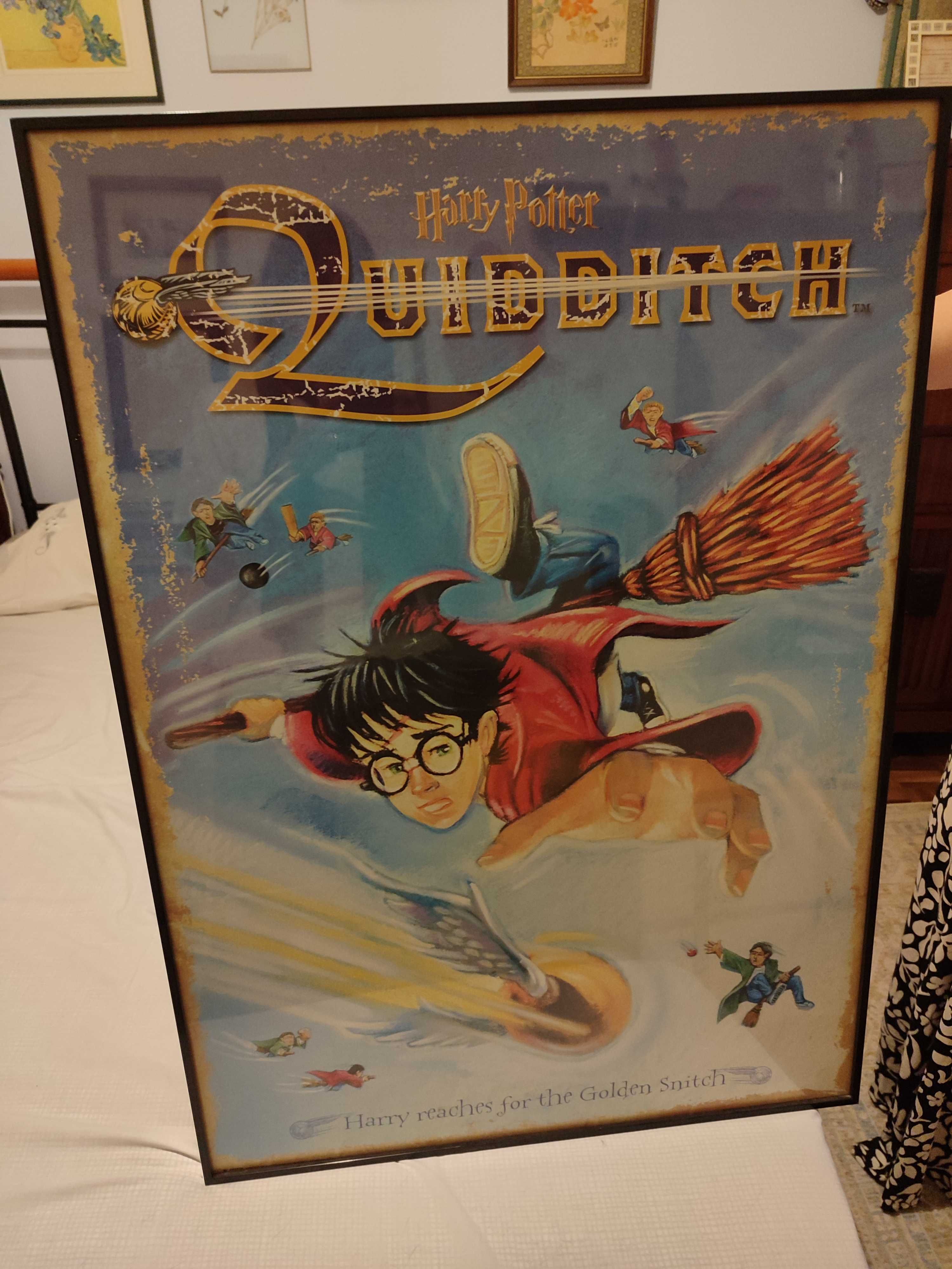Quadro Harry Potter
