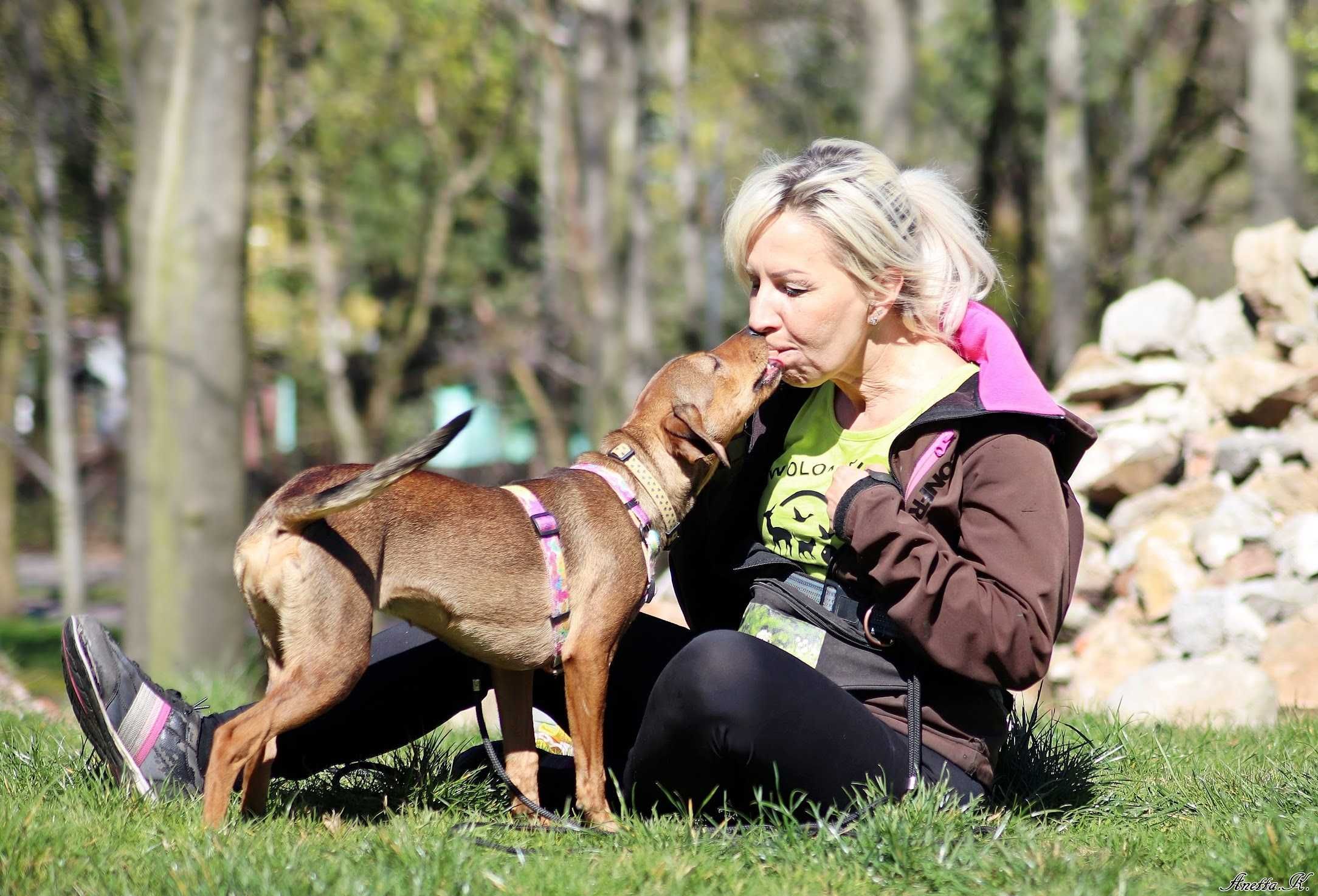 Śliczna urocza mała PLUCIA do adopcji!