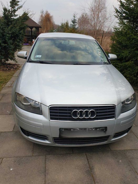 Audi A3 8p 2.0TDI