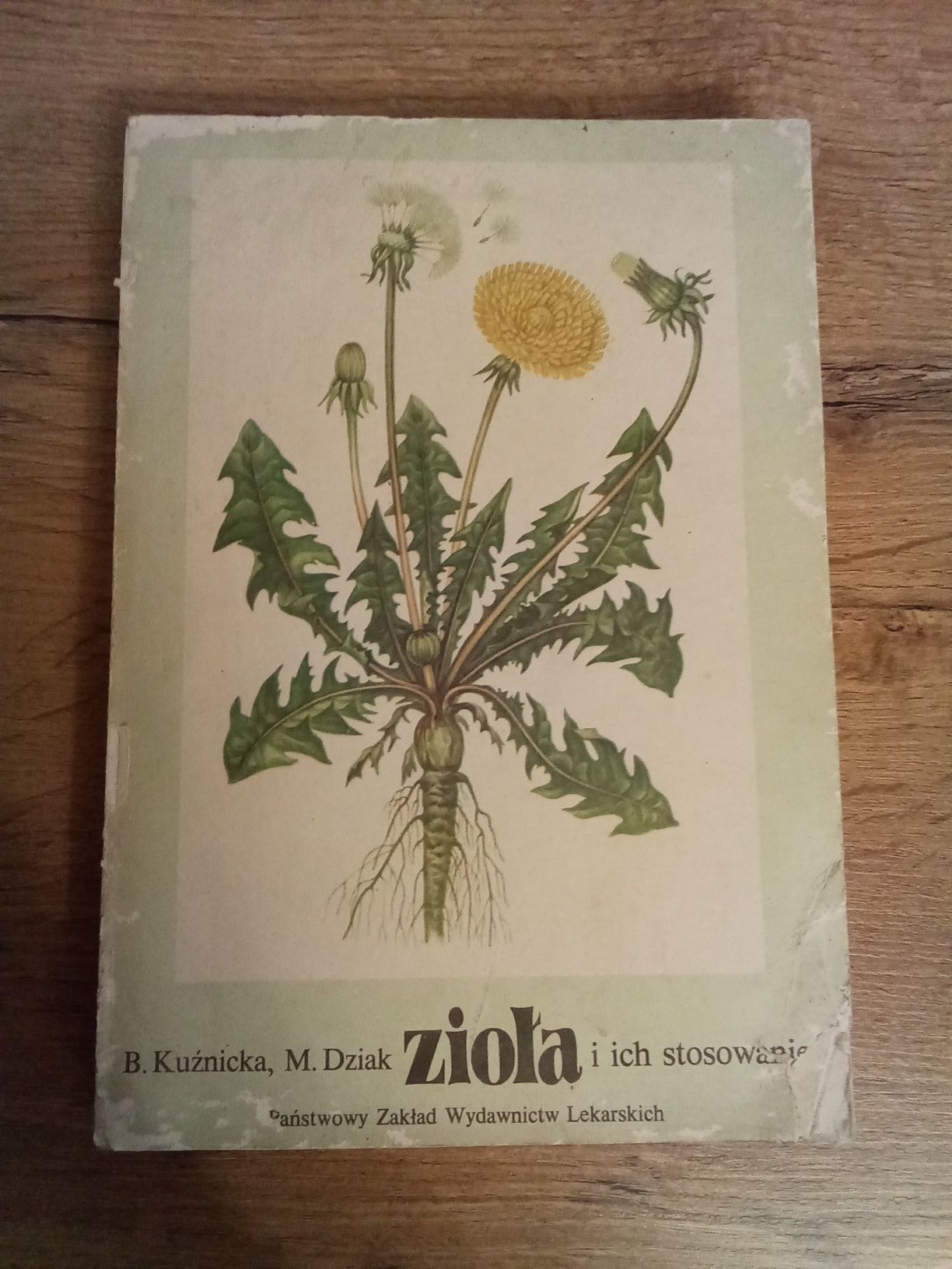 Zioła i ich stosowanie Kuźnica Dziak KG