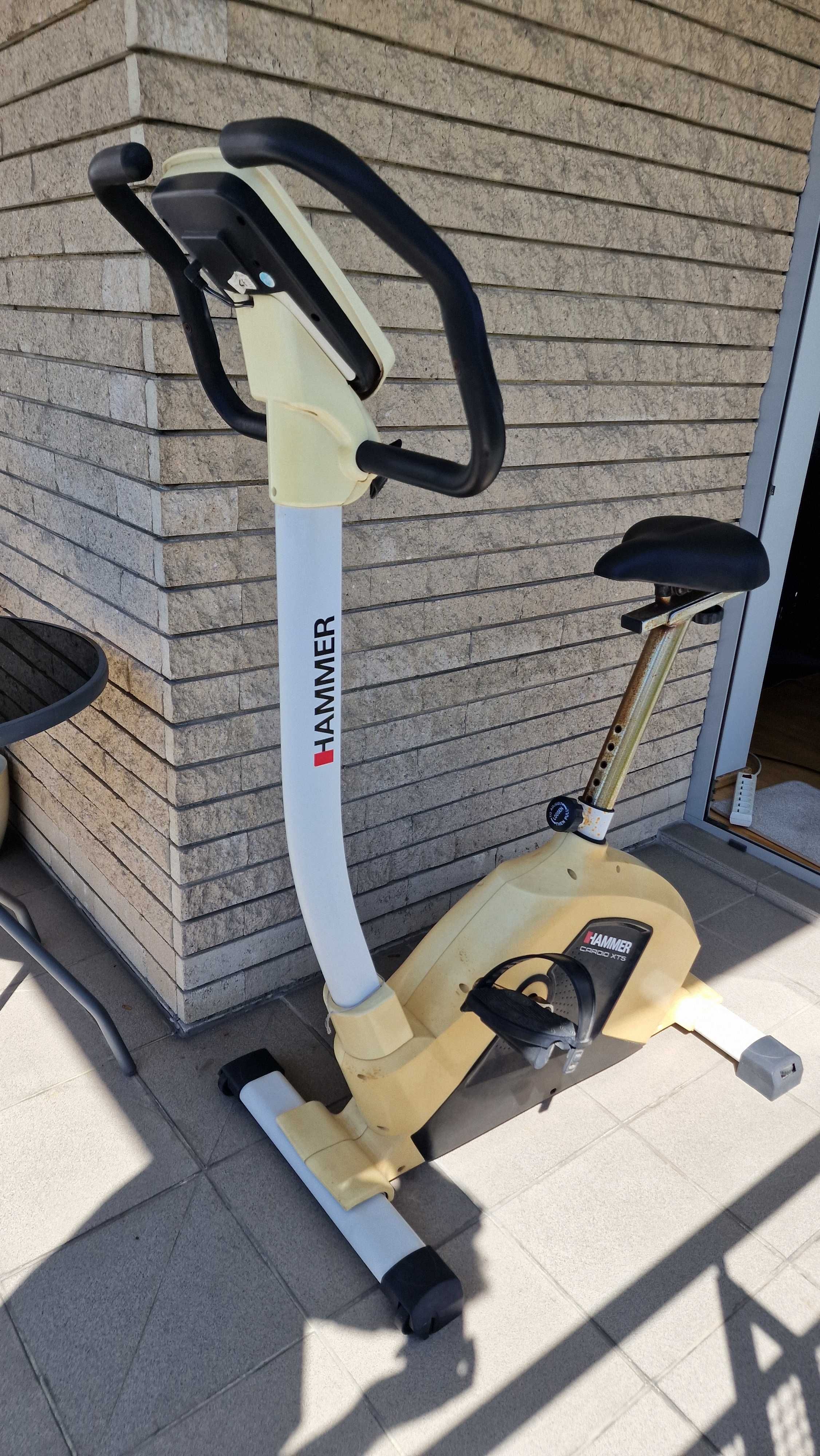 Rower stacjonarny Hammer Cardio XT5