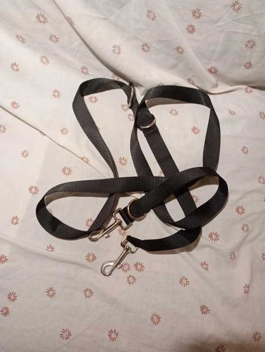 Trela para dois cães