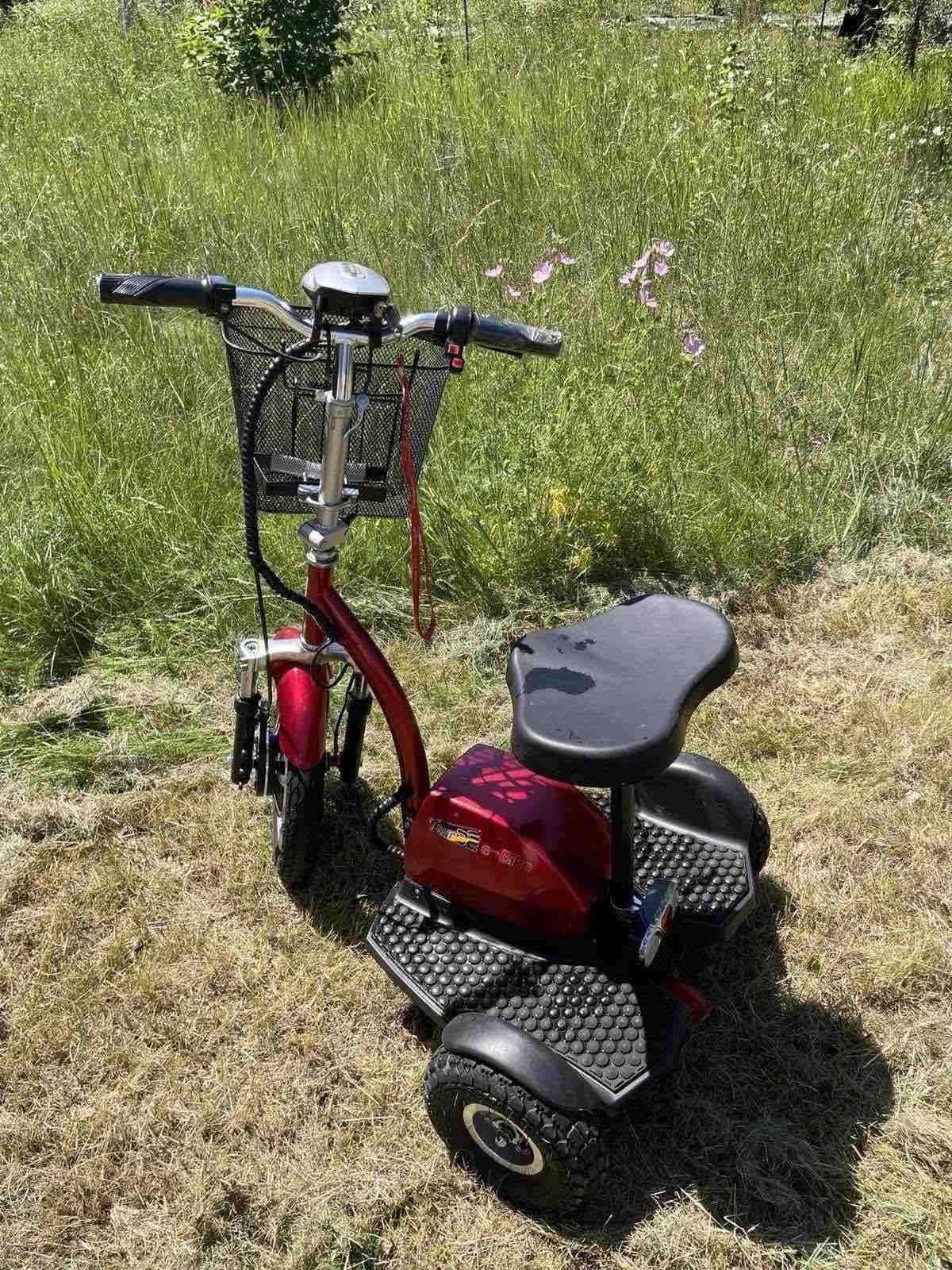 Hulajnoga Elektryczna Trójkołowa