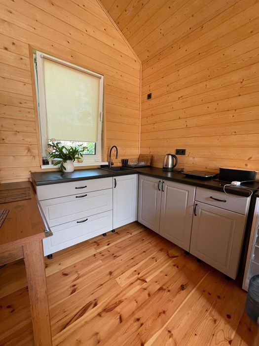 Сучасний будинок 45 м² з каміном і терасою біля лісу.