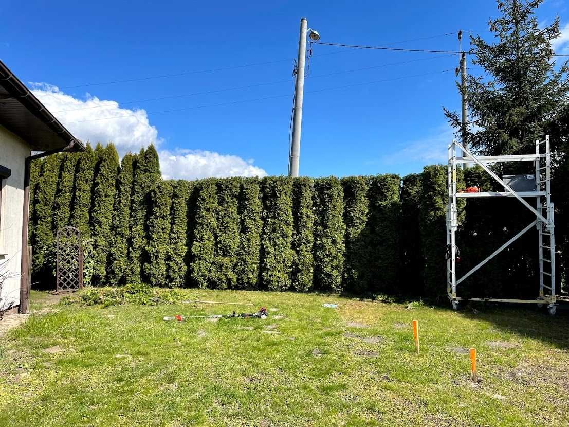 Ogrodnik Sprzątanie Wycinka Drzew Koszenie Zakładanie Ogrodów Faktura