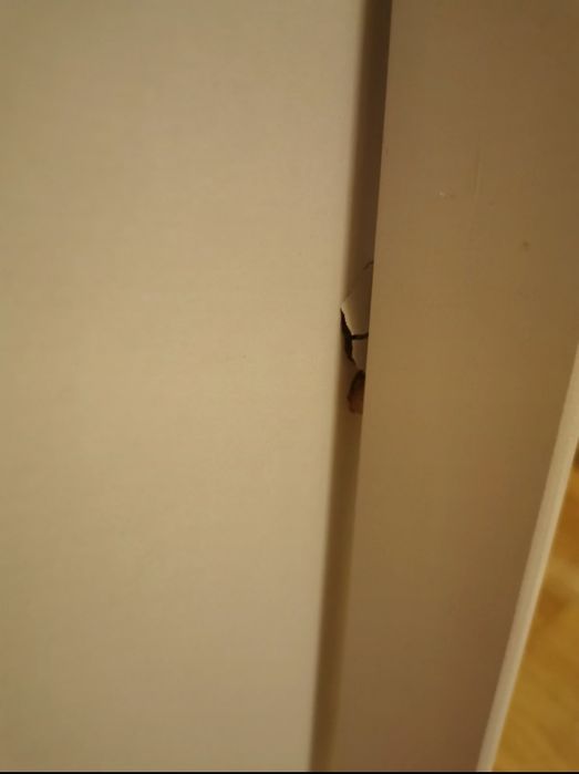 Łóżeczko tapczanik drewniany dla dzieci biały