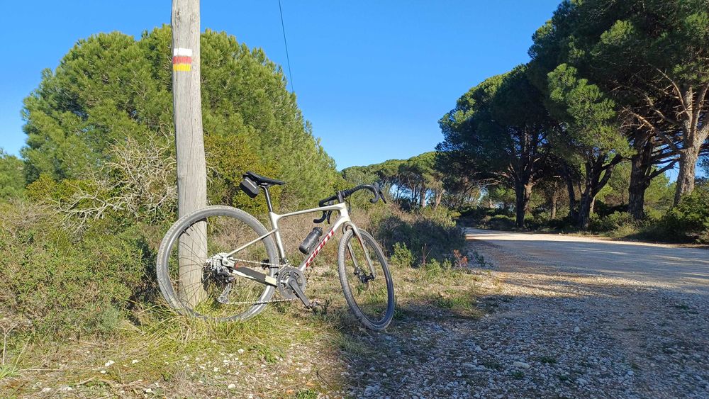 Giant Gravel em carbono