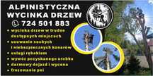 Wycinka drzew - Alpinistyczna-Koszenie trawy- Pielęgnacja Żywopłotów