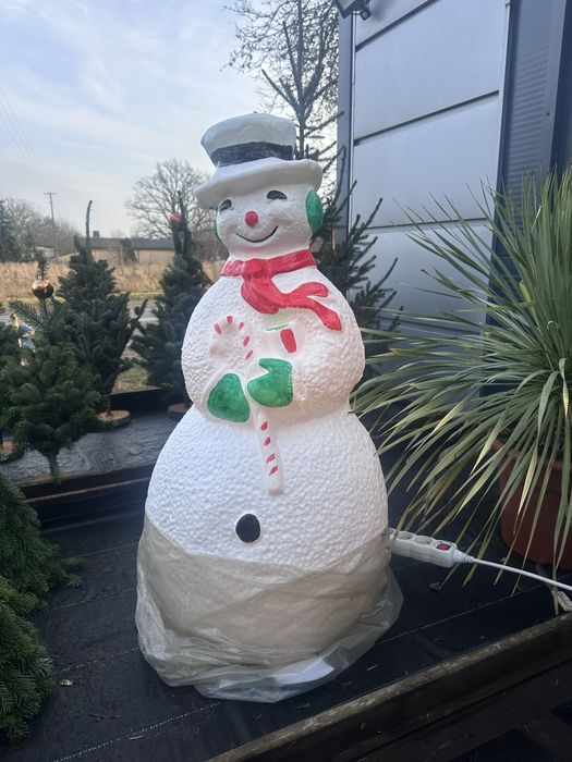 Sprzedaż choinek cietych, doniczkowych, na malym pniu!