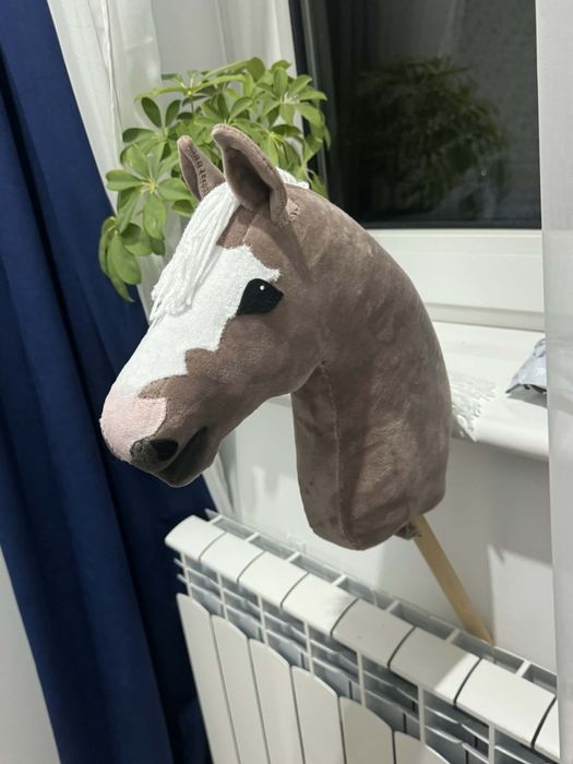 Hobby Horse Sport