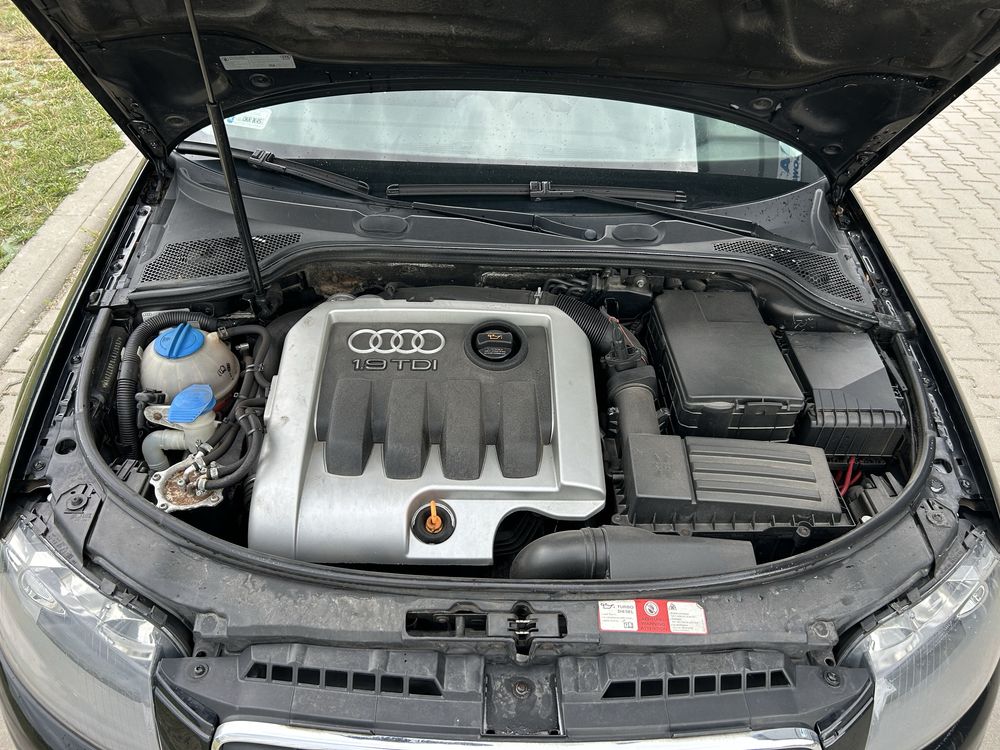 Audi A3 8P 2004 r.