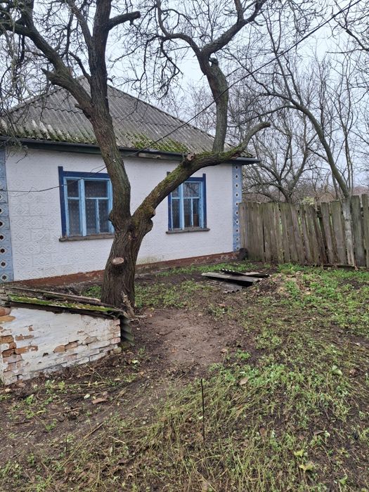 Продам будинок в селі Синьооківка, Золотоніській р-н., Черкаська обл.
