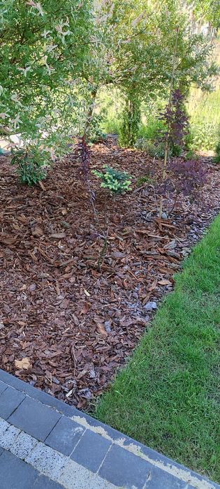 Witam, sprzedam korę sosnowa