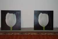 obraz tulipany/ dwa obrazy z tulipanami