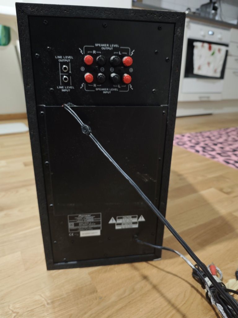 Pioneer acoustic system