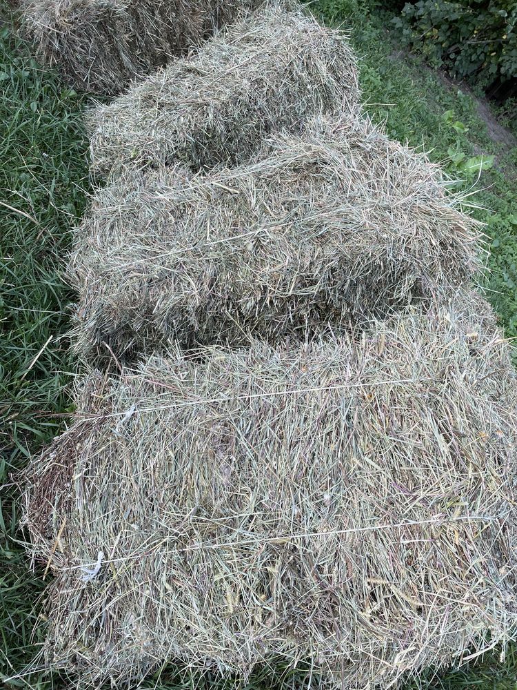 сіно, тюки, 2023 Пірей, сено трава. Солома для мульчування