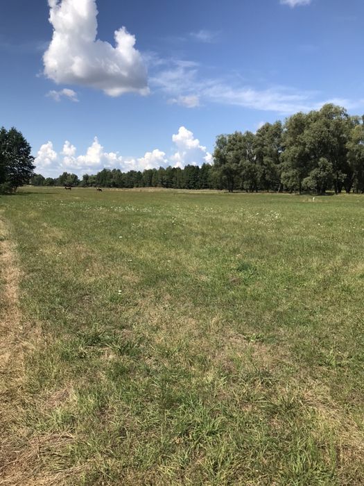 Продажа земельної ділянки