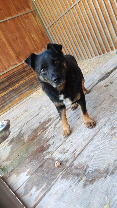 Czyja zguba? Sandomierz