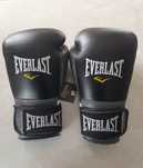 Оригінальні боксерські рукавички EVERLAST