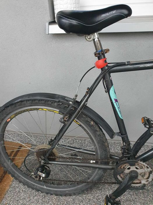 Rower Cosmo Burst Allterrain ATB Machine