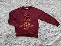 Bluza M/38 house Harry potter bordowa