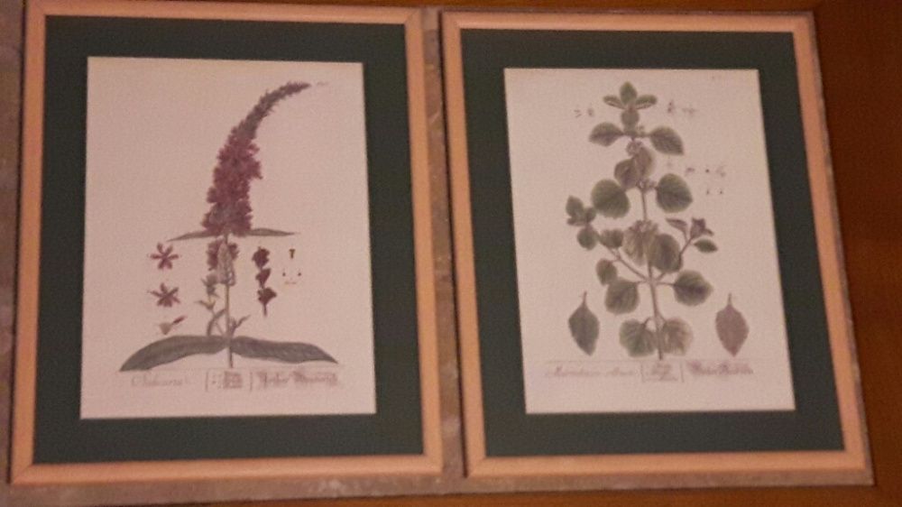 Quadros
