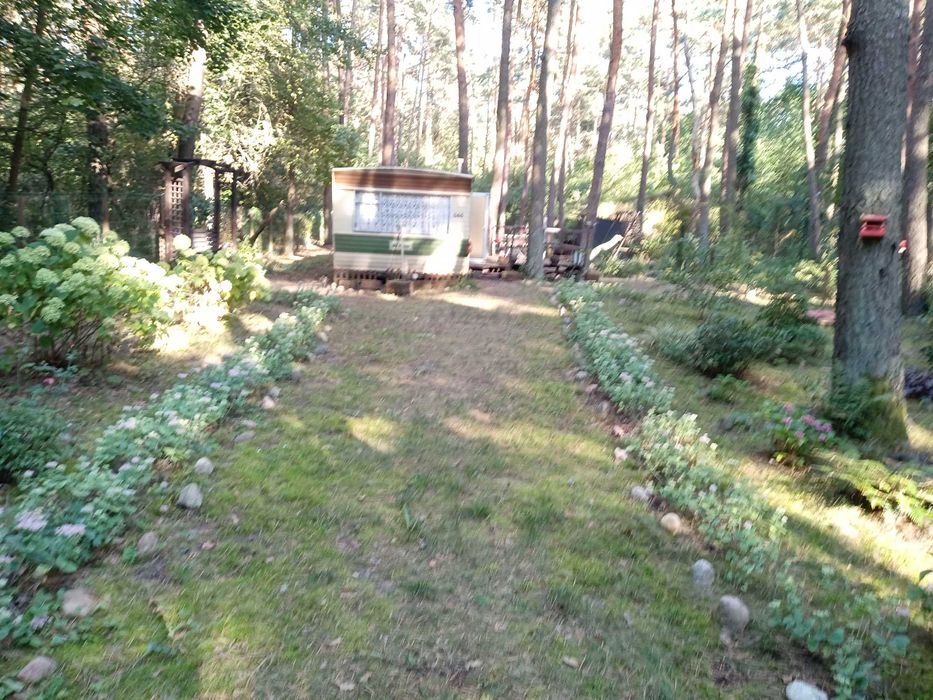 Piękną działkę nad Narwią sprzedam